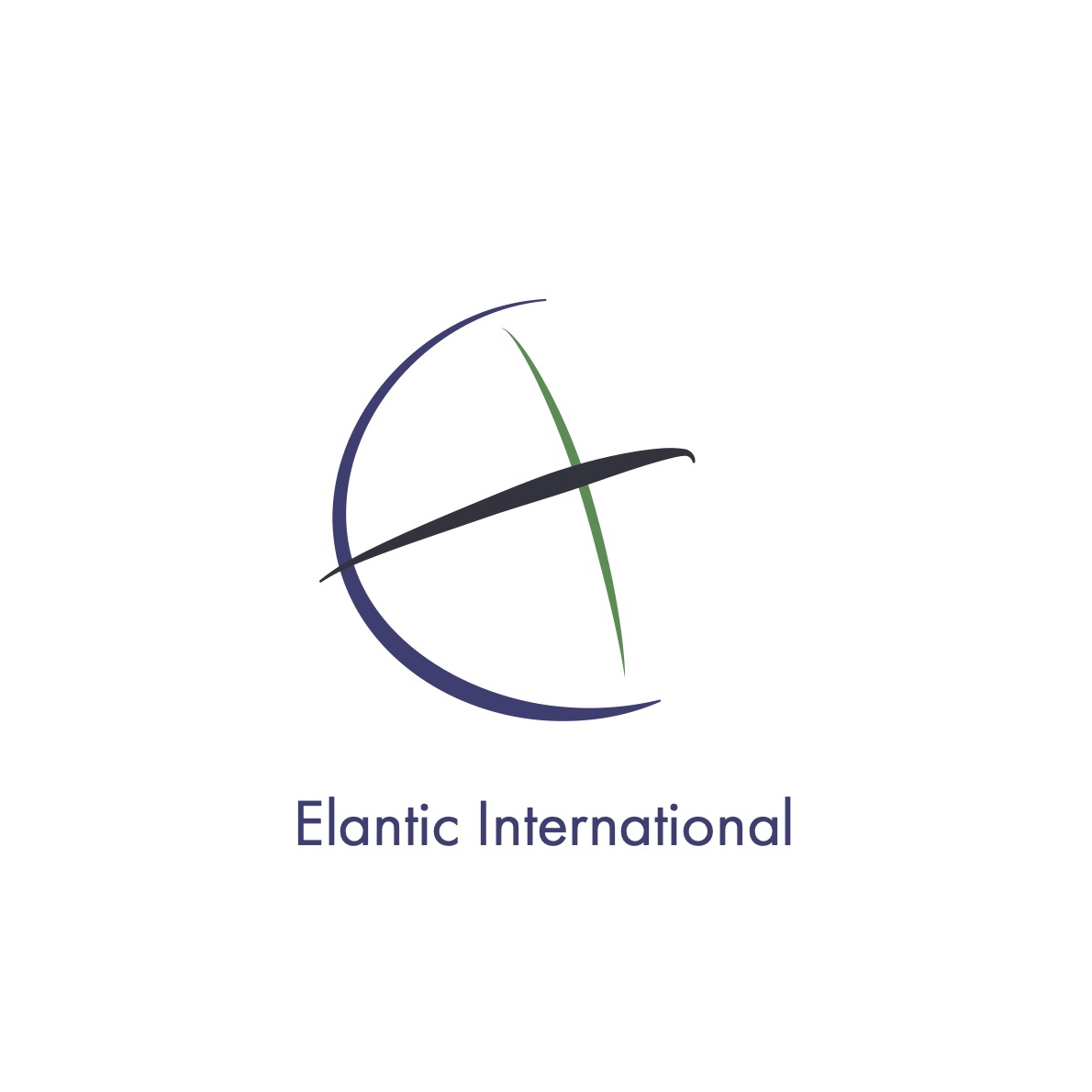 Elantic International